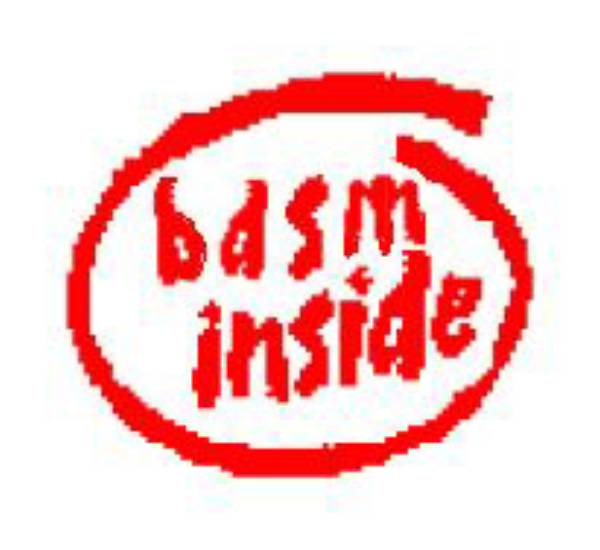 bdsm